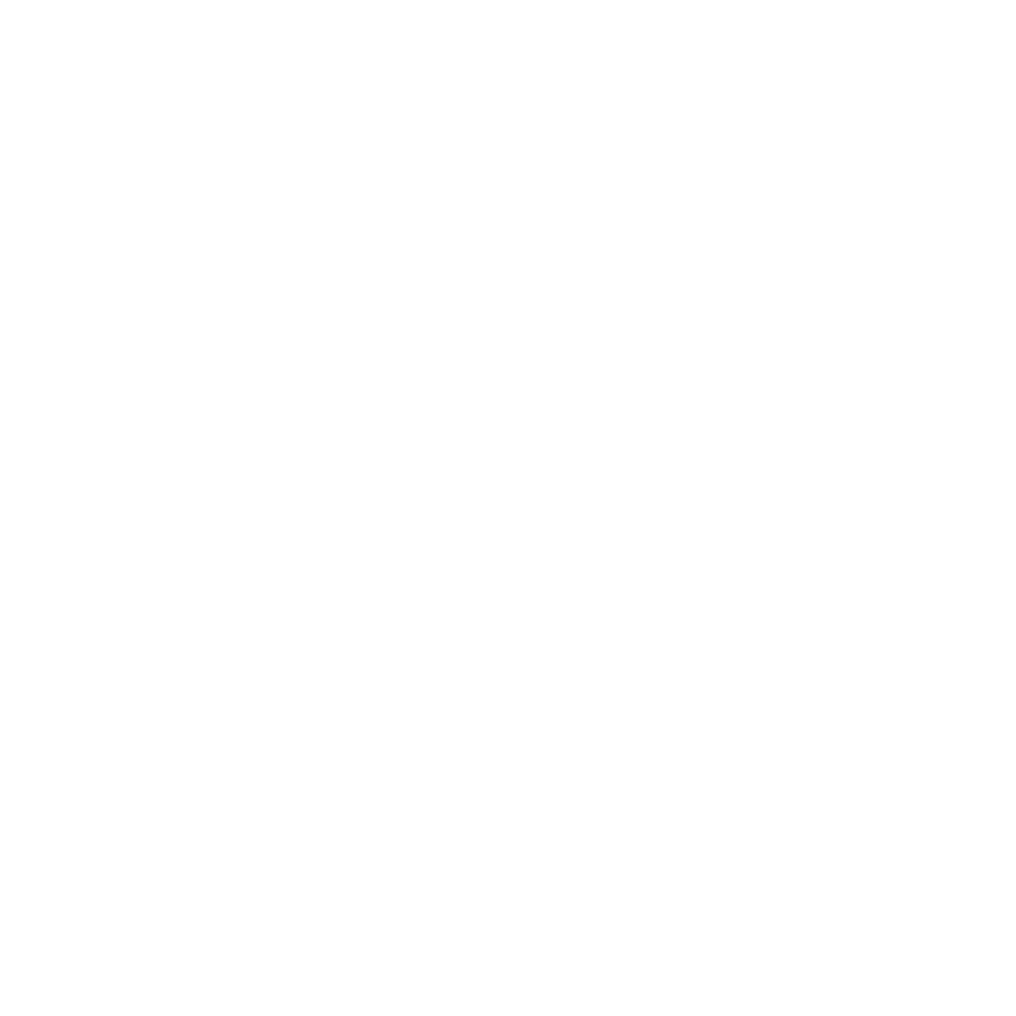 BRINS