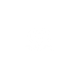 Toyota Veloz Experience