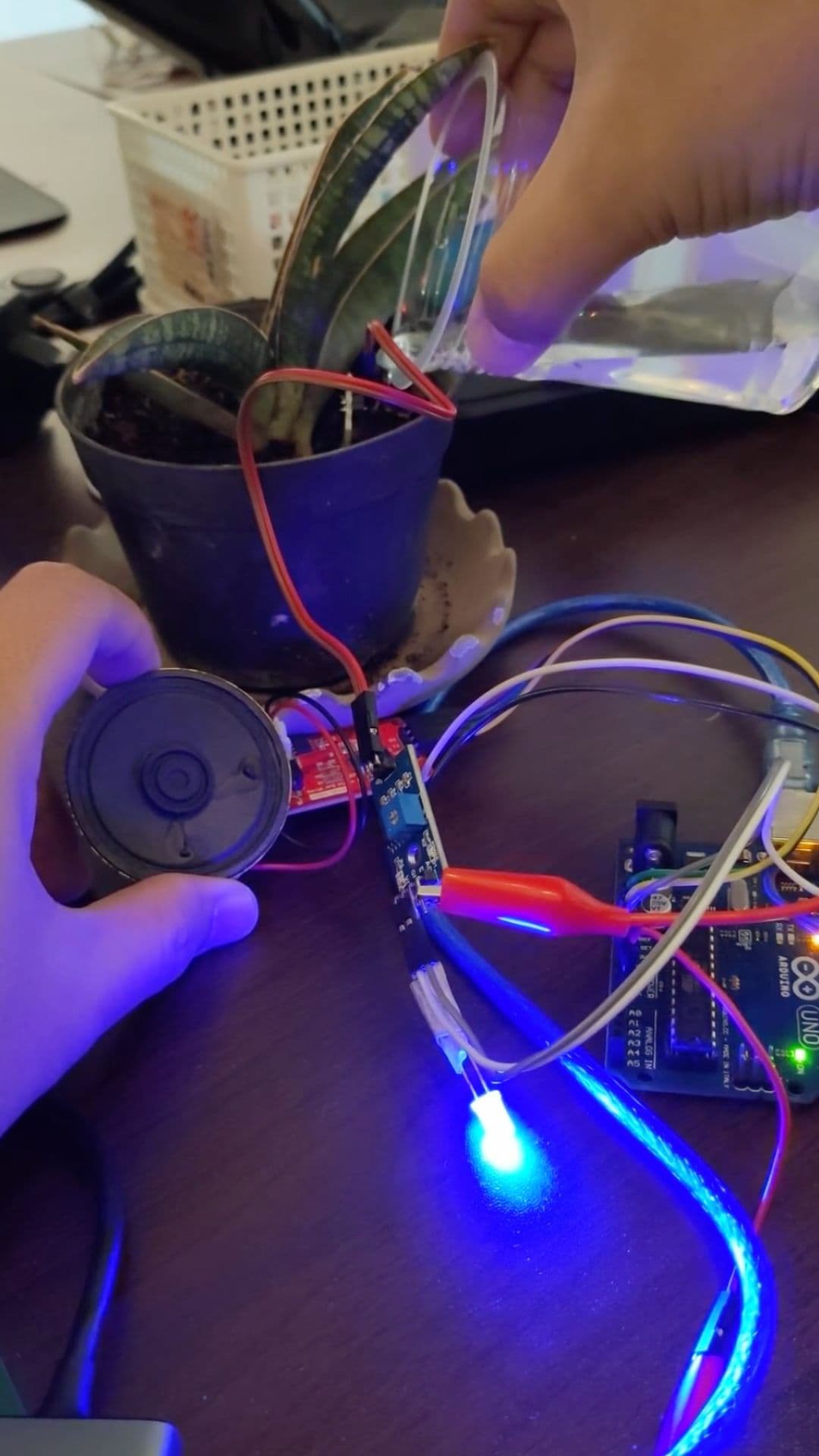 Talking Plant with Soil Moisture Sensor