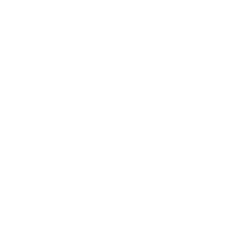 Bimasena Bimasena