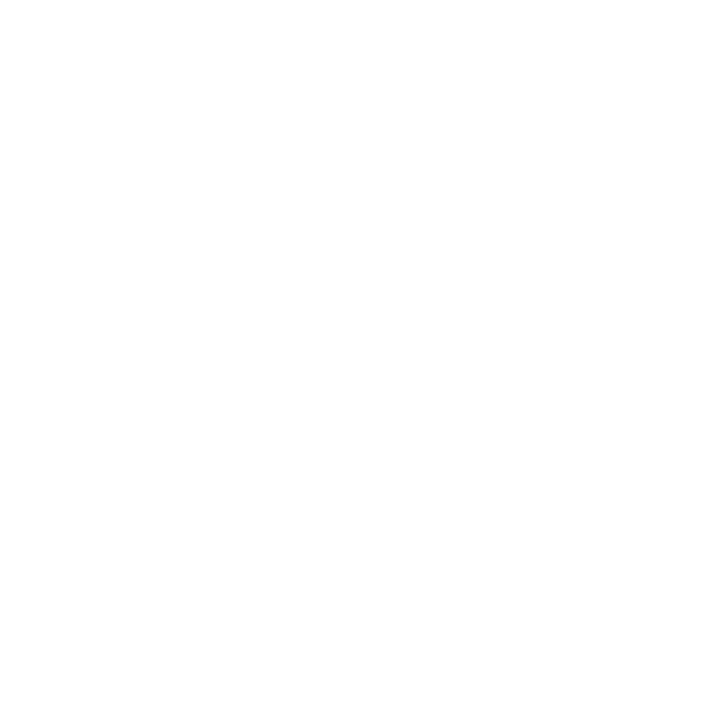 BRINS BRINS